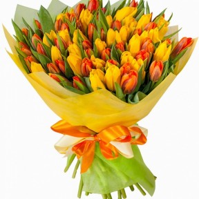тюльпаны желто-оранжевые