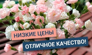 Низкие цены! Отличное качество!