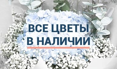 Все цветы в наличии